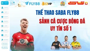 Thể Thao BTi Fly88 - Sảnh Cược Chuyên Nghiệp Châu Âu | Tặng +888K